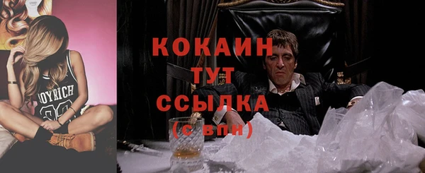 твердый Новодвинск