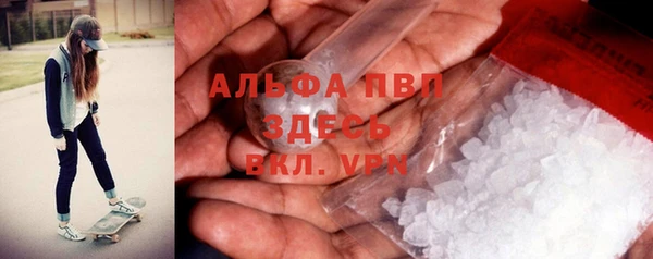 твердый Новодвинск