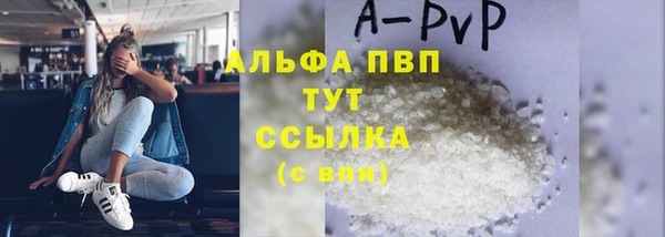 стаф Ленск