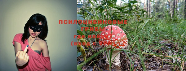 наркотики Абинск
