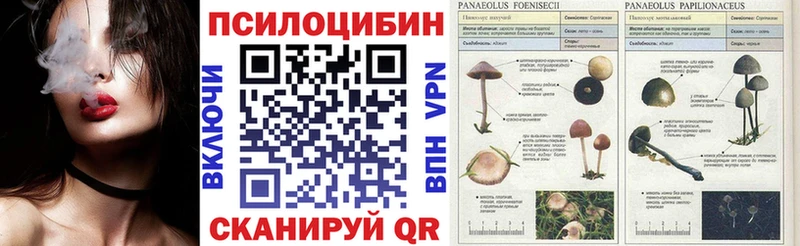Галлюциногенные грибы мицелий  KRAKEN tor  Мурино 